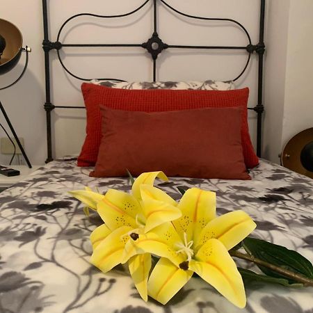 Appartement Dream Central Plaza à Santa-Cruz de Ténérife Extérieur photo