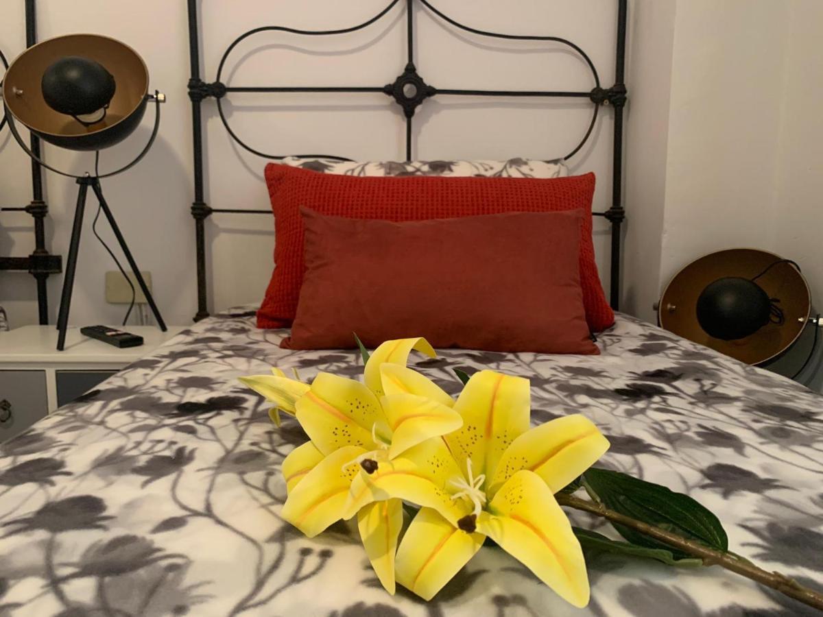 Appartement Dream Central Plaza à Santa-Cruz de Ténérife Extérieur photo