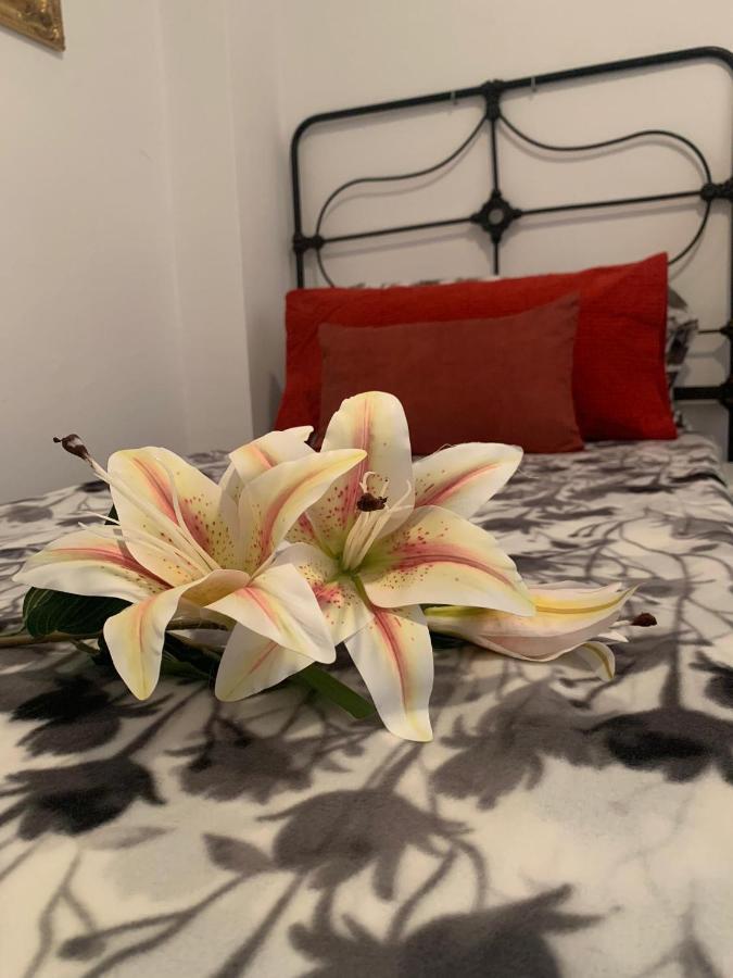Appartement Dream Central Plaza à Santa-Cruz de Ténérife Extérieur photo